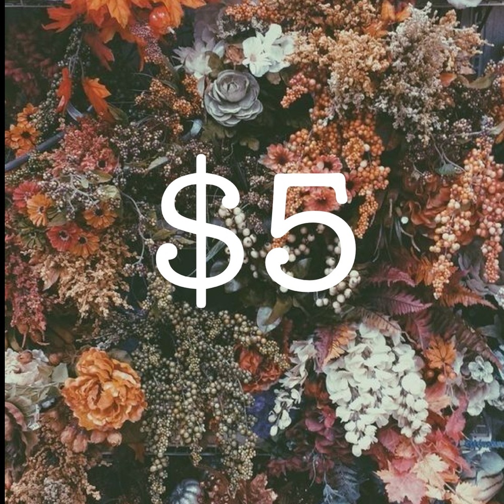 $5 Unlisted | as shown in Live show